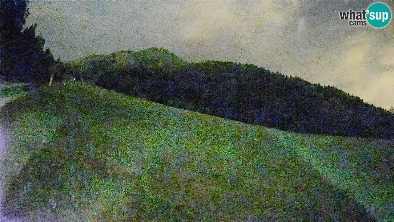 Esquí Kranjska Gora | Brsnina