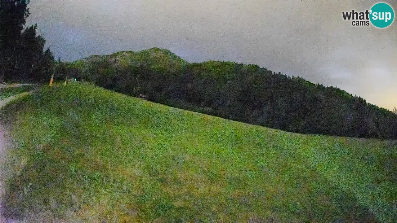 Kranjska Gora SKIJANJE | Brsnina