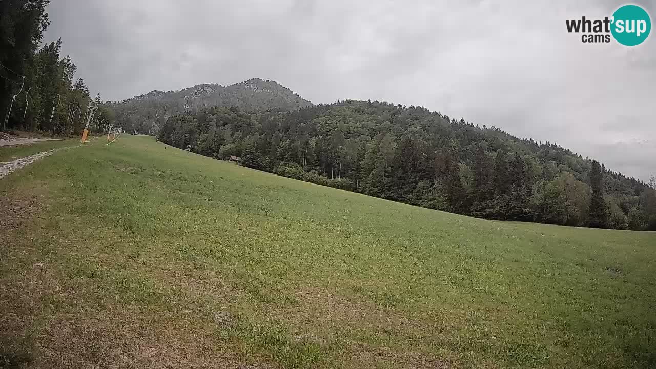 Ski Kranjska Gora | Brsnina