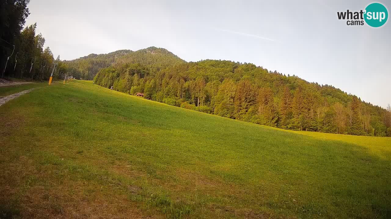 Ski Kranjska Gora | Brsnina