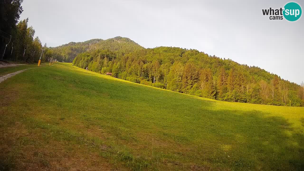 Kranjska Gora Station de ski | Brsnina