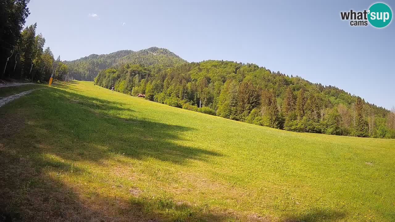 Ski Kranjska Gora | Brsnina