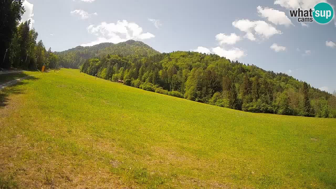Kranjska Gora Station de ski | Brsnina