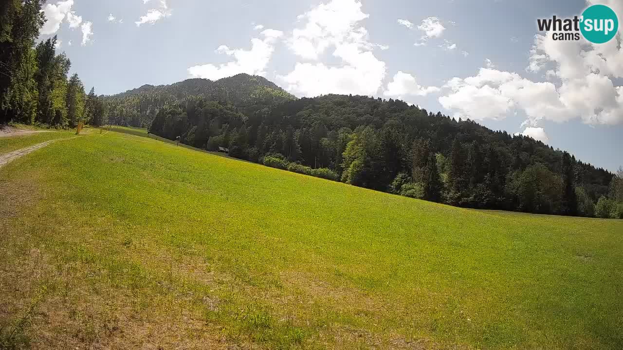 RTC Kranjska Gora | Brsnina