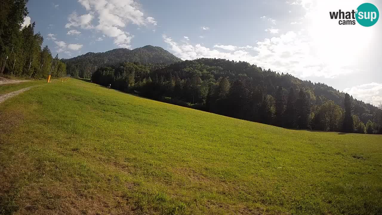 RTC Kranjska Gora | Brsnina