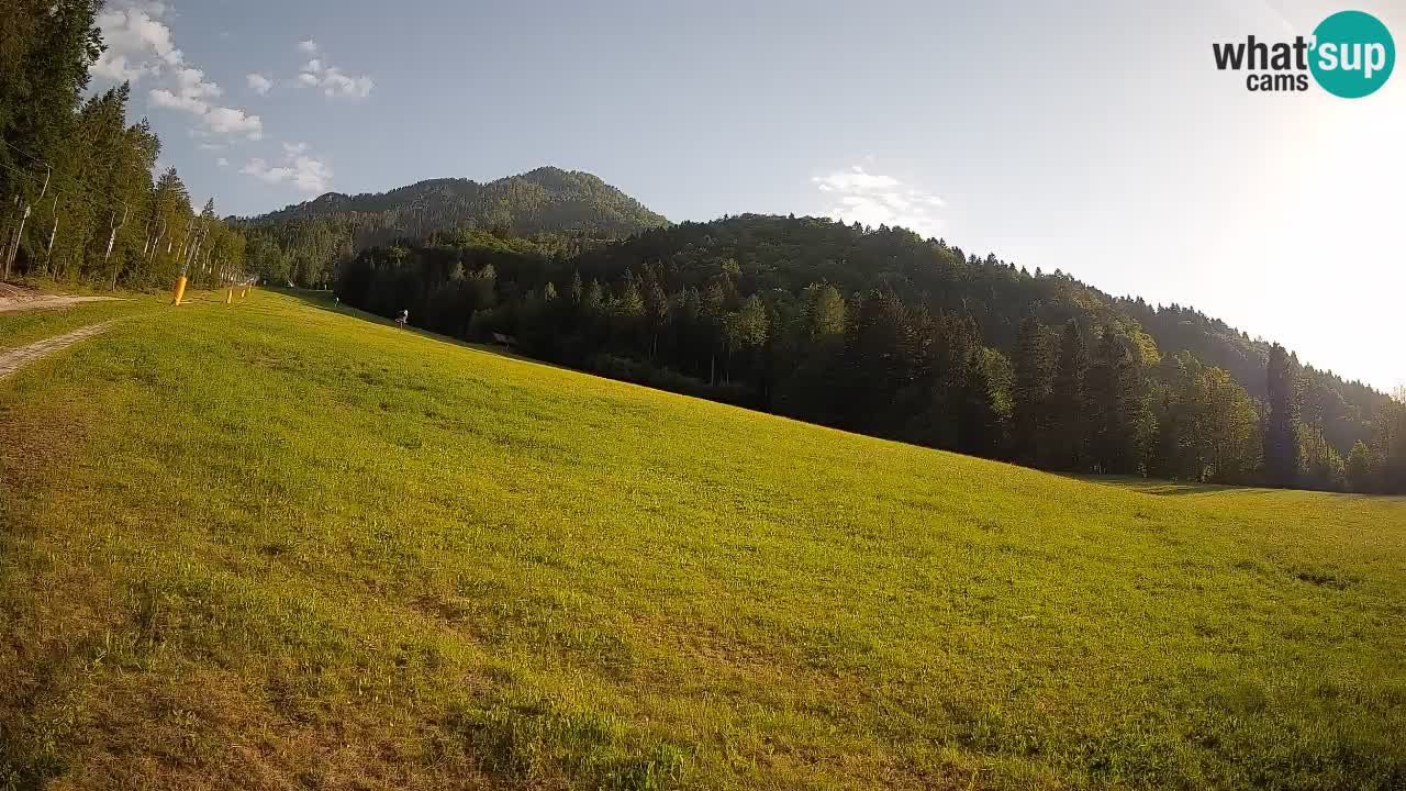 Esquí Kranjska Gora | Brsnina