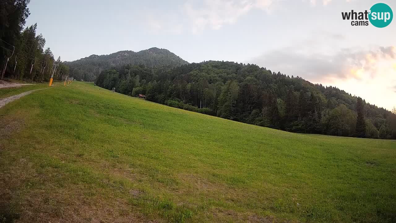 Ski Kranjska Gora | Brsnina