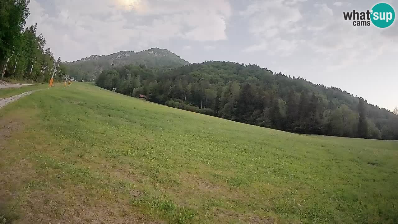 Comprensorio sciistico Kranjska Gora | Brsnina