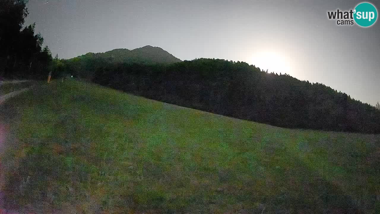 RTC Kranjska Gora | Brsnina