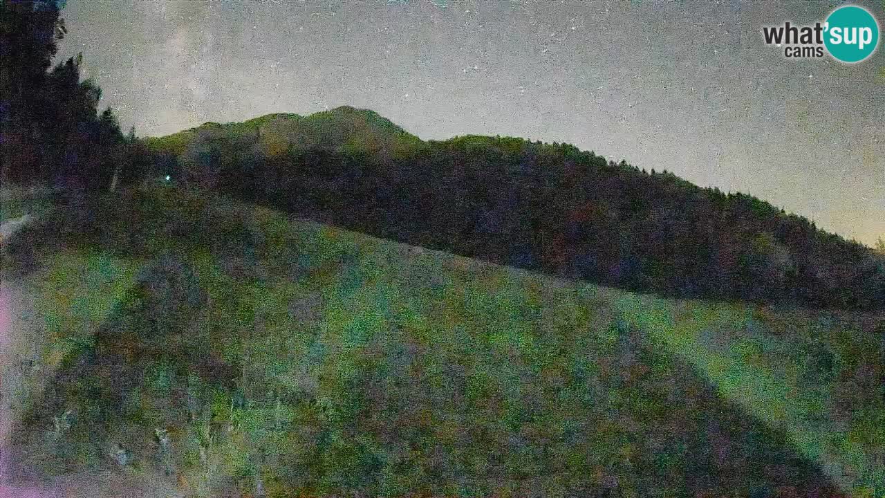 RTC Kranjska Gora | Brsnina