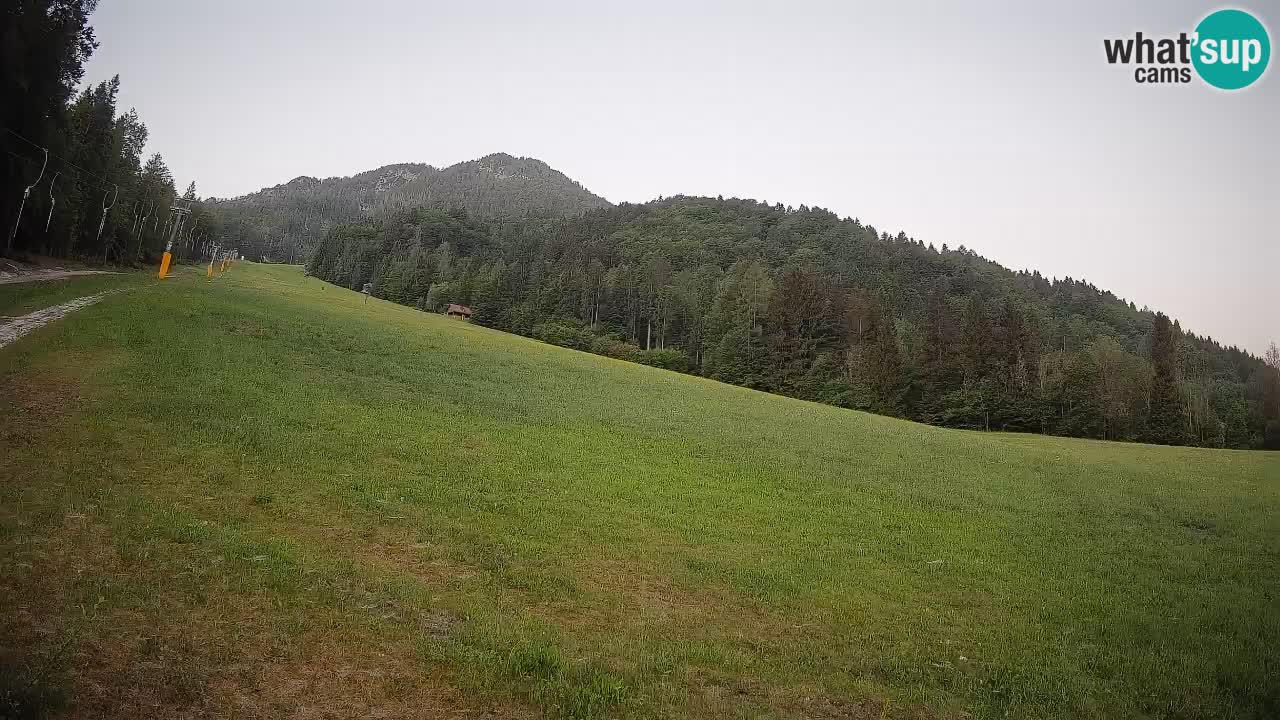 RTC Skigebiet Kranjska Gora | Brsnina