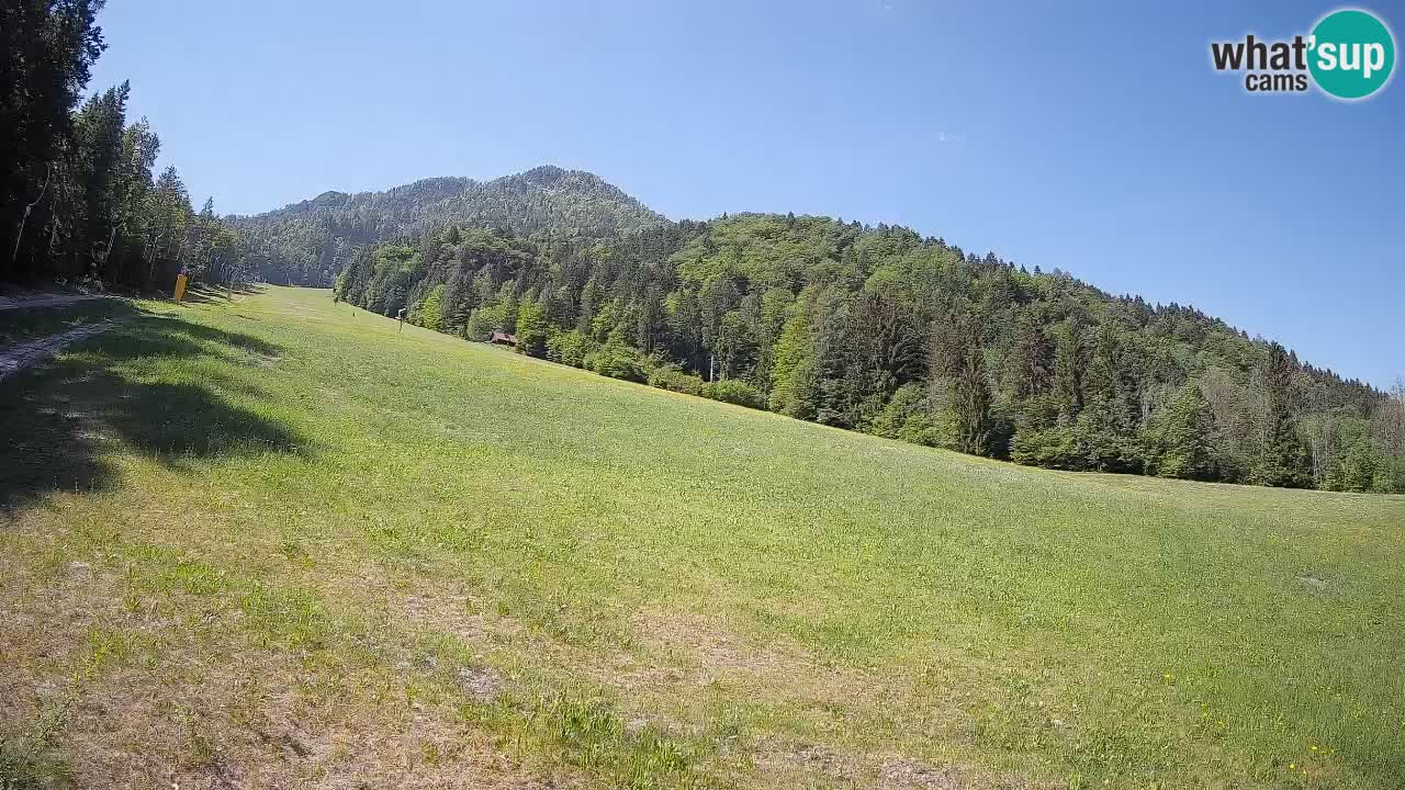 RTC Kranjska Gora | Brsnina