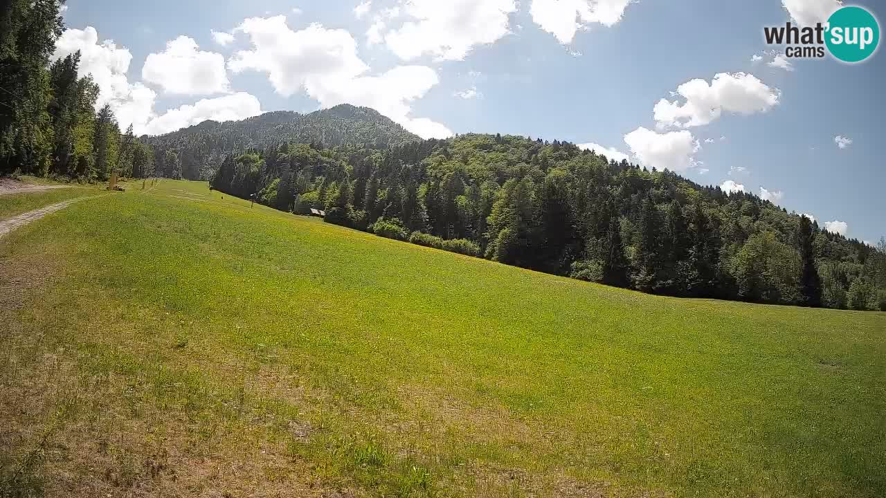 RTC Skigebiet Kranjska Gora | Brsnina