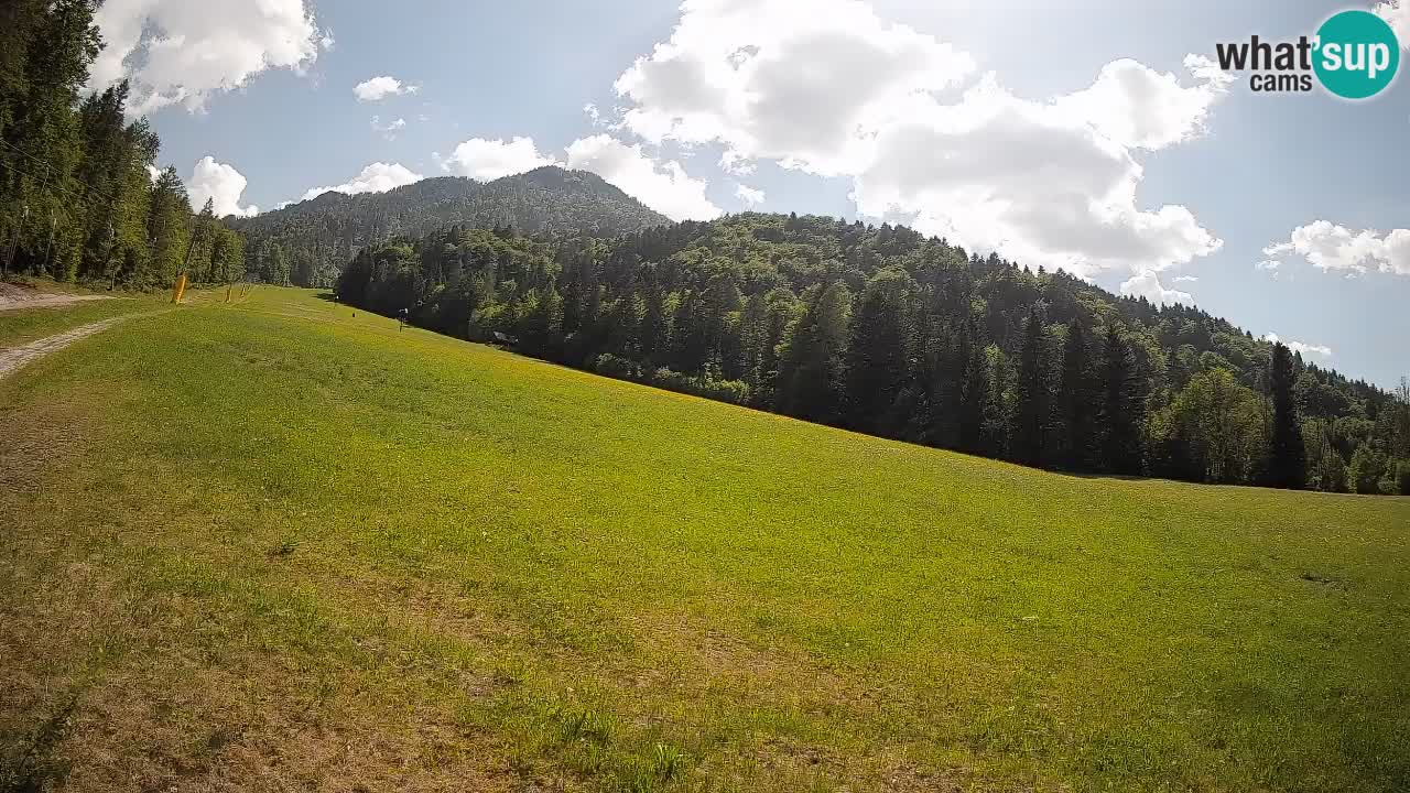 Ski Kranjska Gora | Brsnina