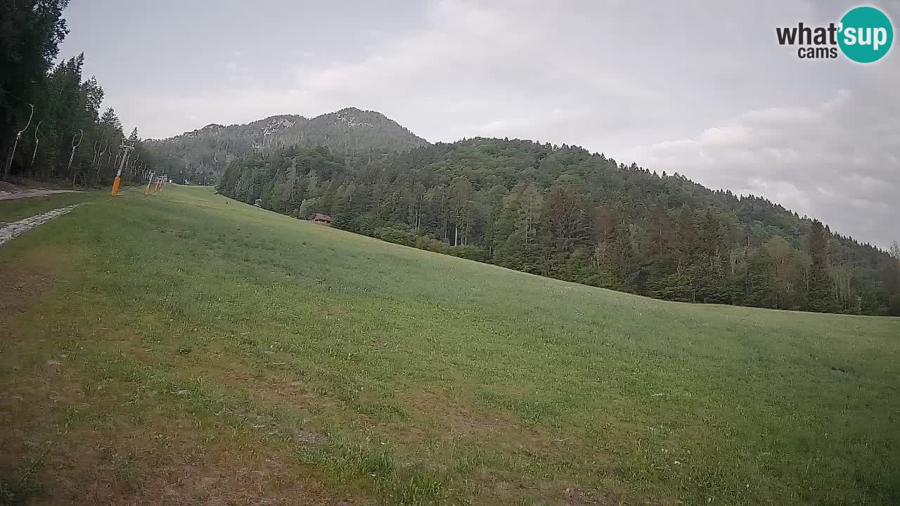 RTC Kranjska Gora | Brsnina