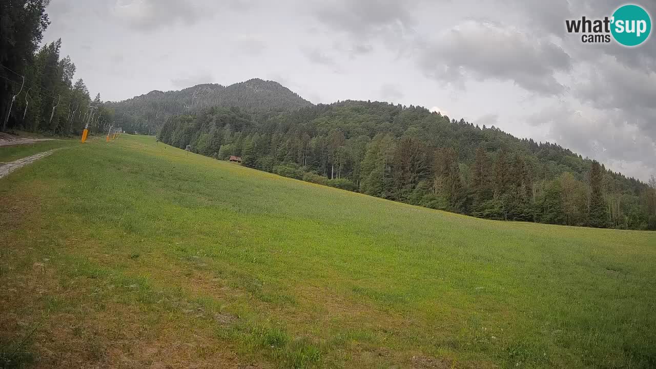 Ski Kranjska Gora | Brsnina