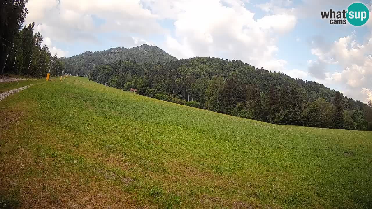 Ski Kranjska Gora | Brsnina