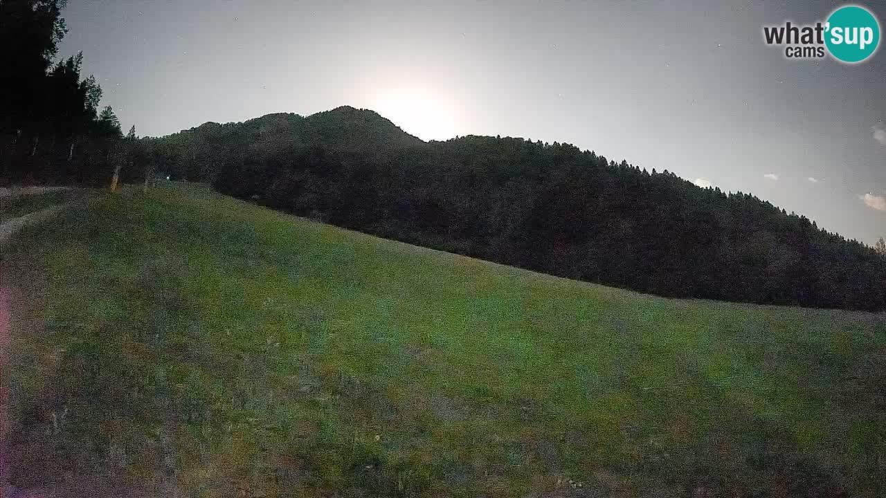 Ski Kranjska Gora | Brsnina