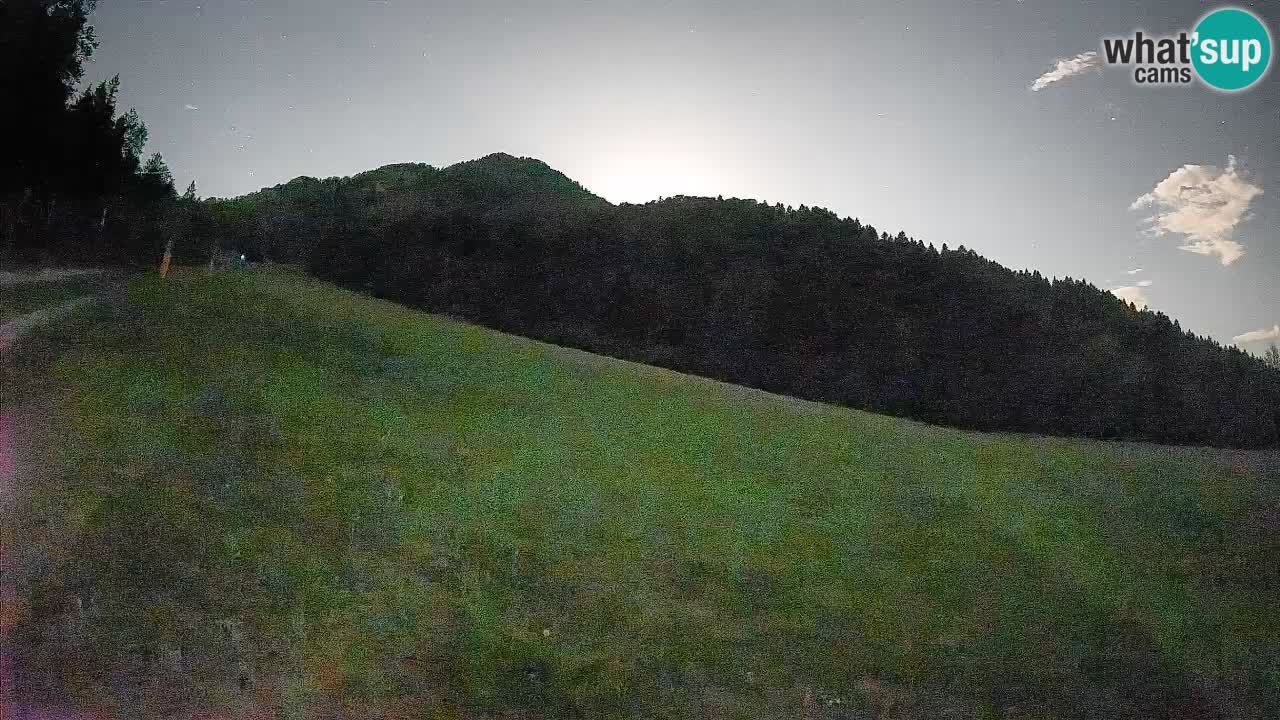 Ski Kranjska Gora | Brsnina