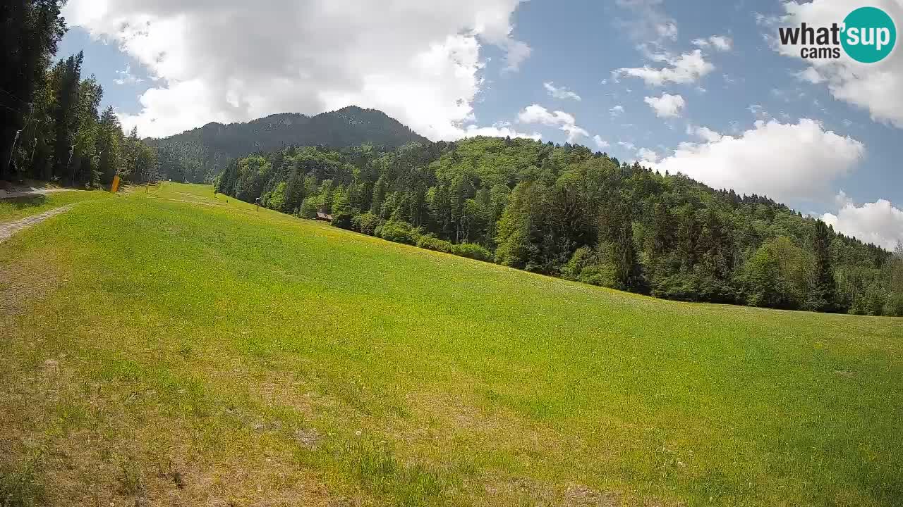 RTC Kranjska Gora | Brsnina