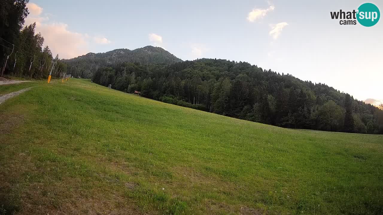 Ski Kranjska Gora | Brsnina
