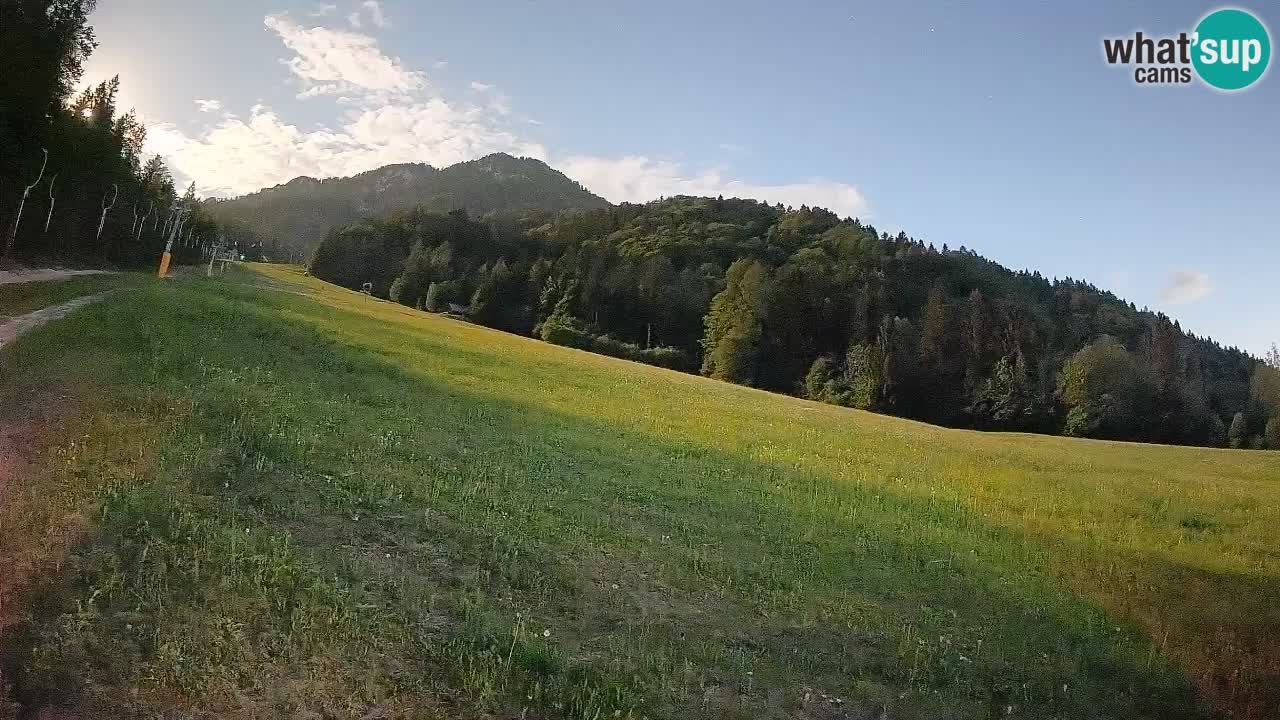 Kranjska Gora Station de ski | Brsnina