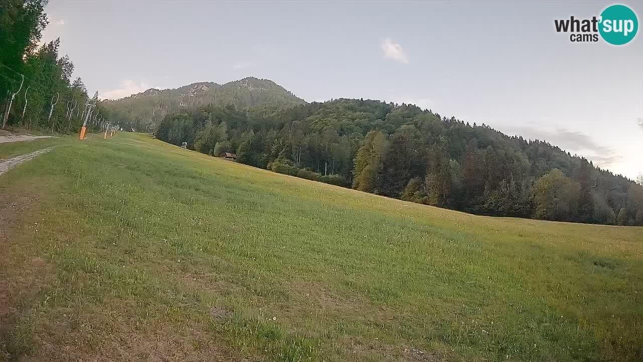 RTC Kranjska Gora | Brsnina