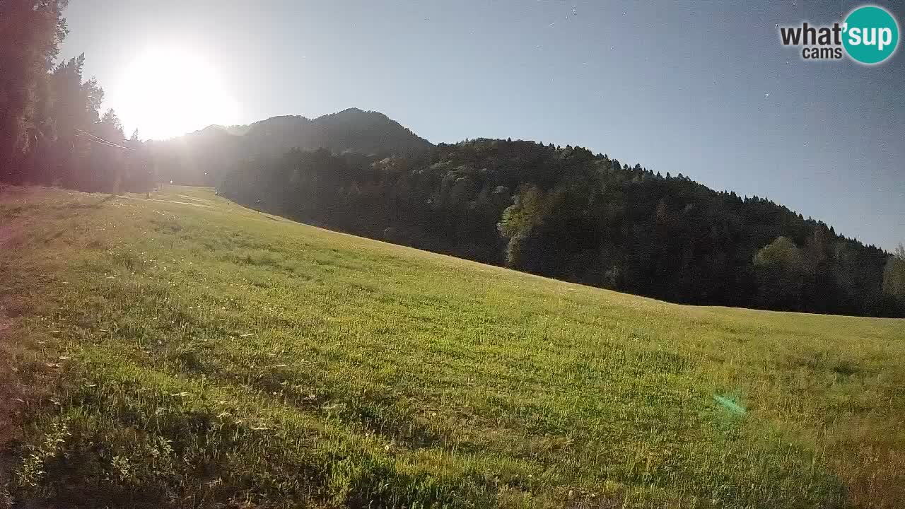 Esquí Kranjska Gora | Brsnina