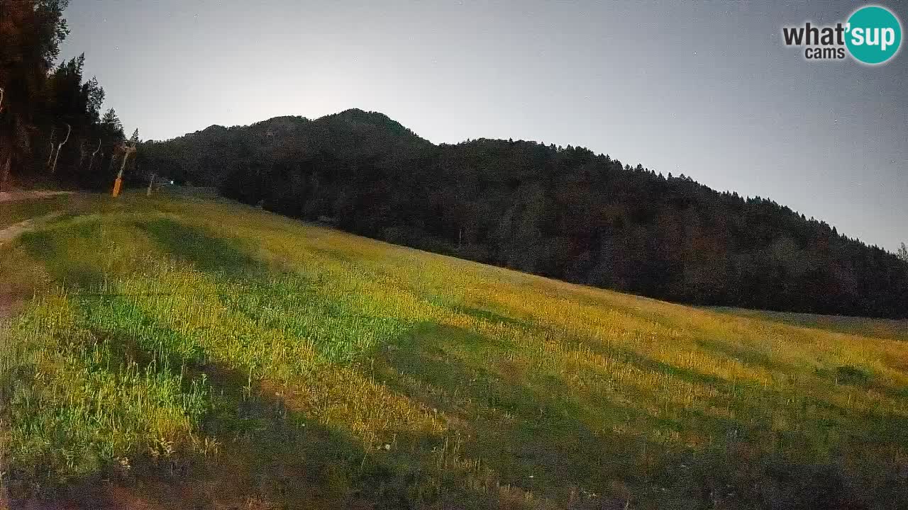 Comprensorio sciistico Kranjska Gora | Brsnina