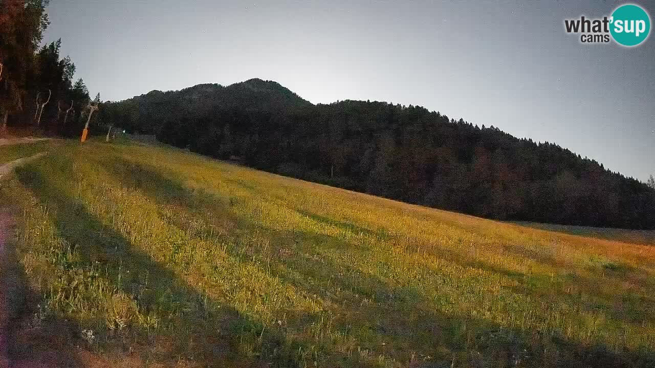 Esquí Kranjska Gora | Brsnina