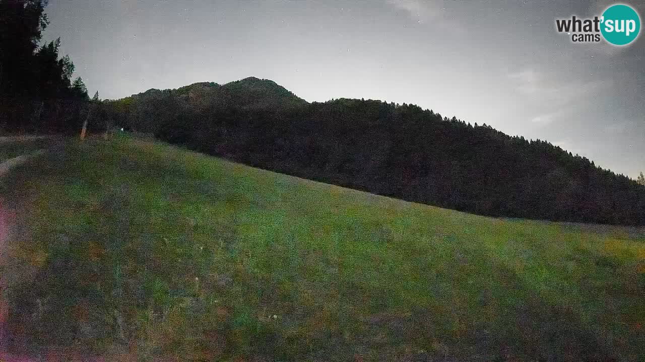 Esquí Kranjska Gora | Brsnina