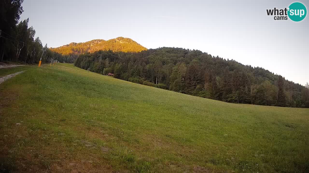 Kranjska Gora SKIJANJE | Brsnina
