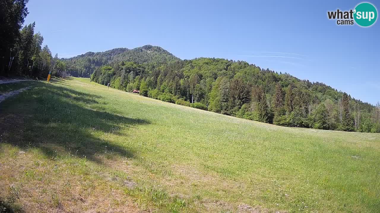 RTC Kranjska Gora | Brsnina