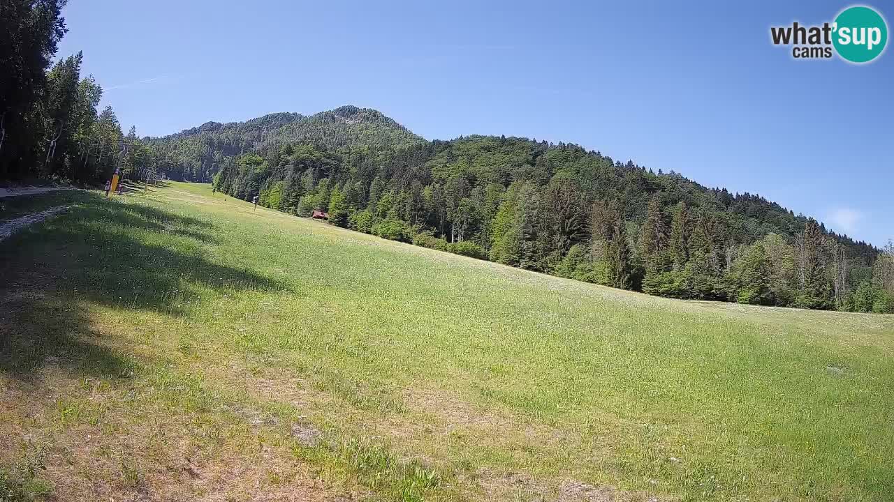 Comprensorio sciistico Kranjska Gora | Brsnina