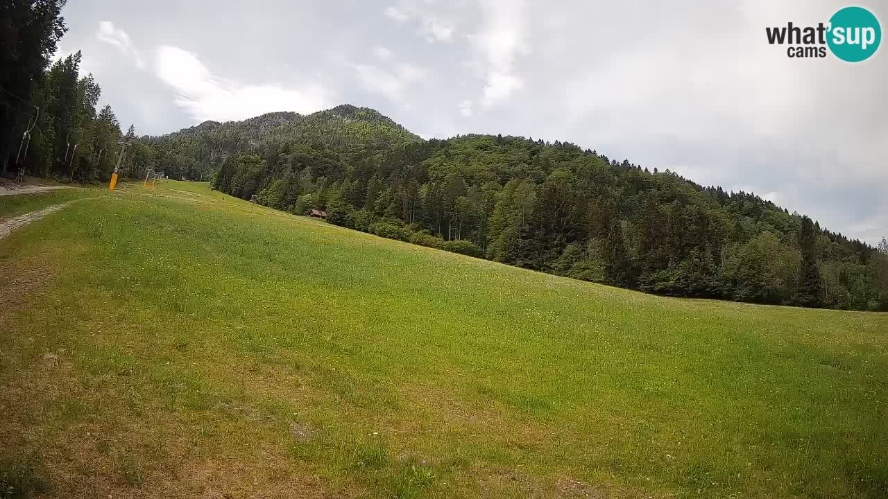 Kranjska Gora SKIJANJE | Brsnina