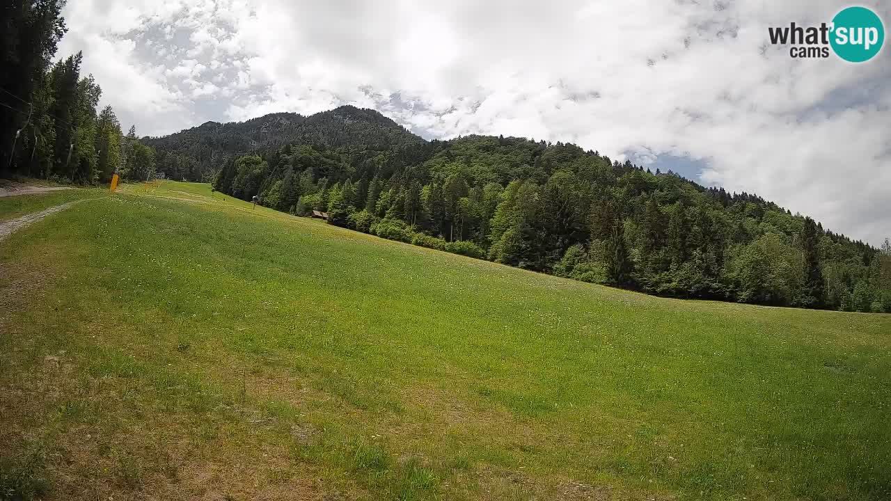 Kranjska Gora Station de ski | Brsnina
