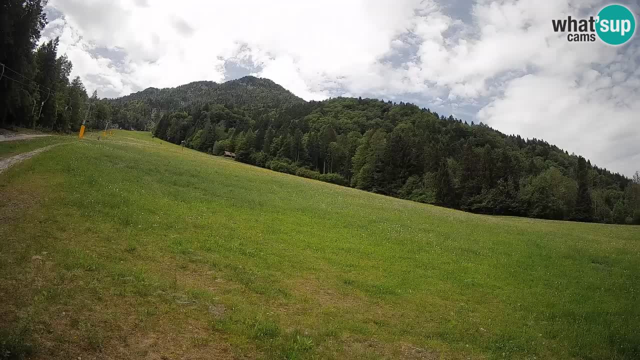 Kranjska Gora Station de ski | Brsnina