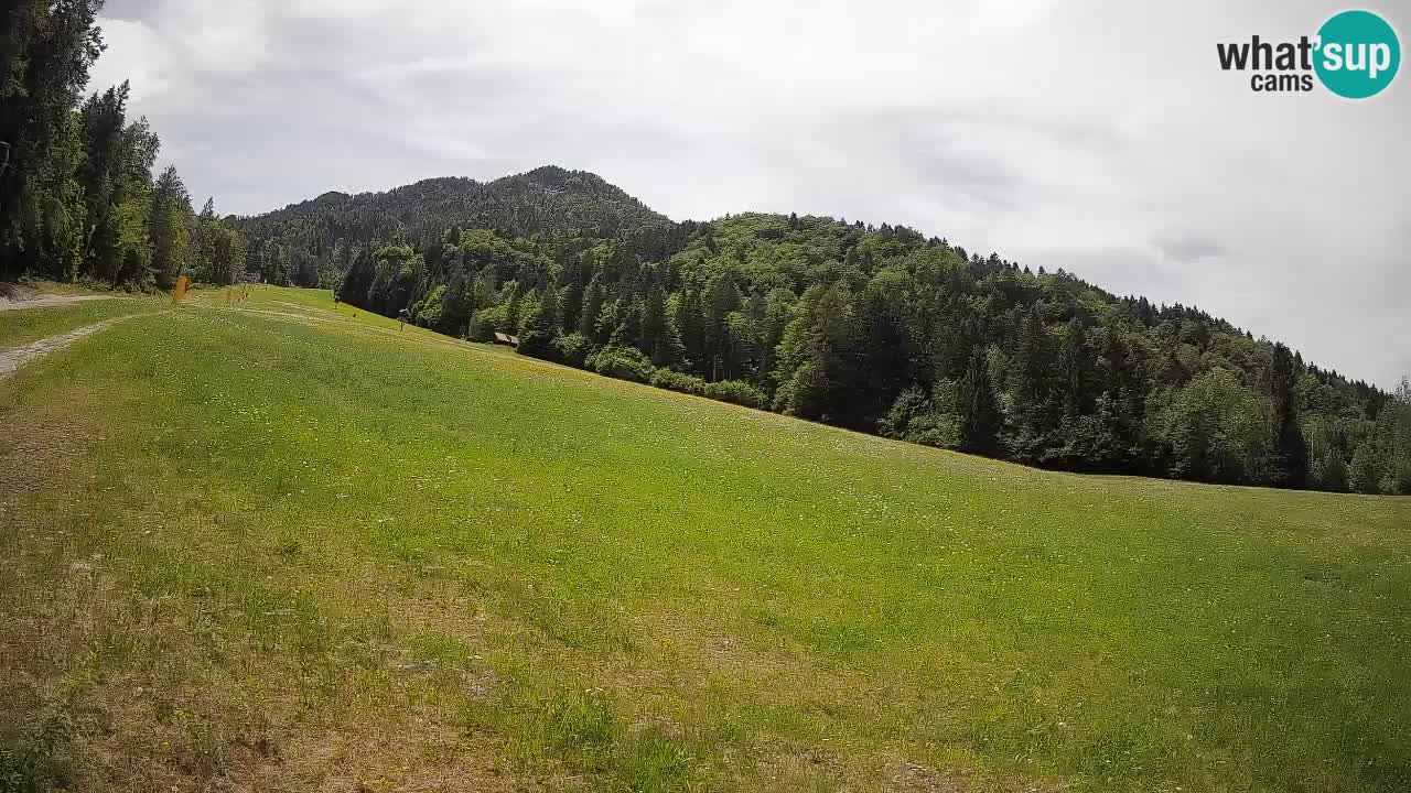 RTC Kranjska Gora | Brsnina