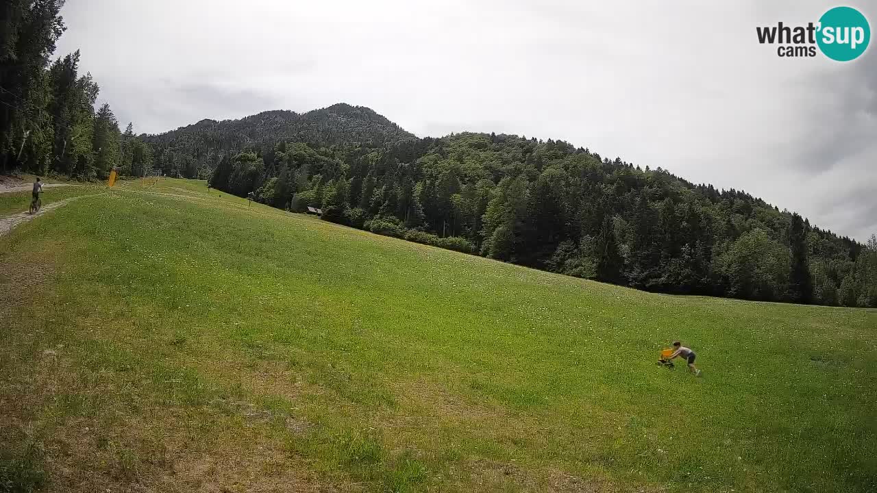 Ski Kranjska Gora | Brsnina