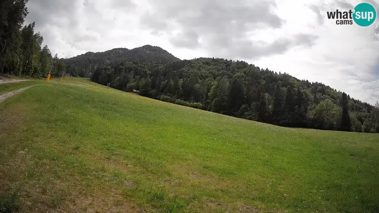 Esquí Kranjska Gora | Brsnina