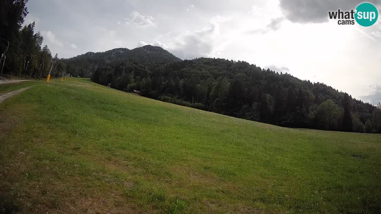 Comprensorio sciistico Kranjska Gora | Brsnina