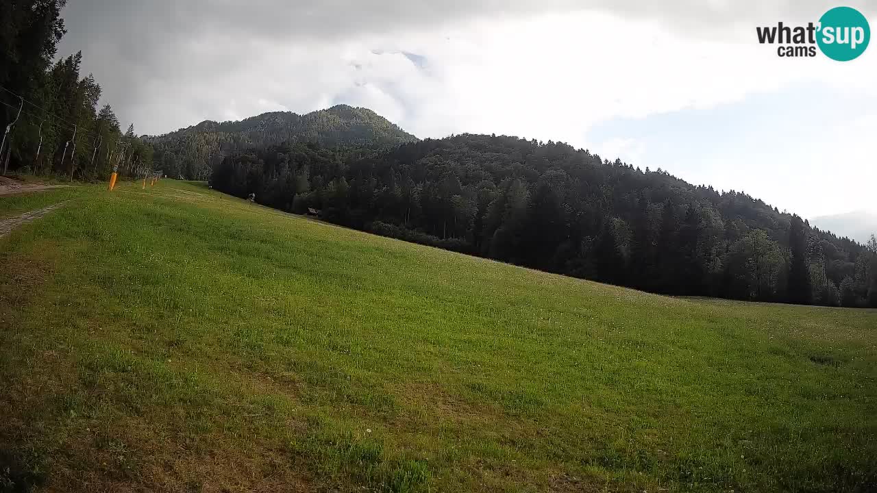 Kranjska Gora Station de ski | Brsnina