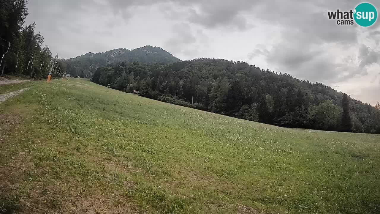 Comprensorio sciistico Kranjska Gora | Brsnina