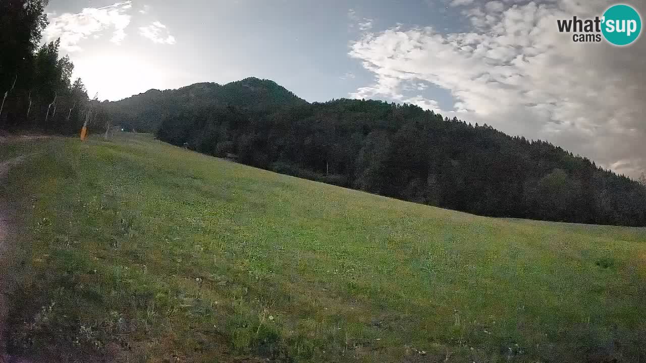 Esquí Kranjska Gora | Brsnina