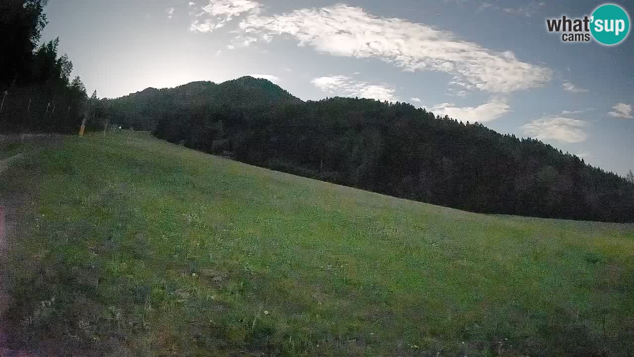 Kranjska Gora SKIJANJE | Brsnina