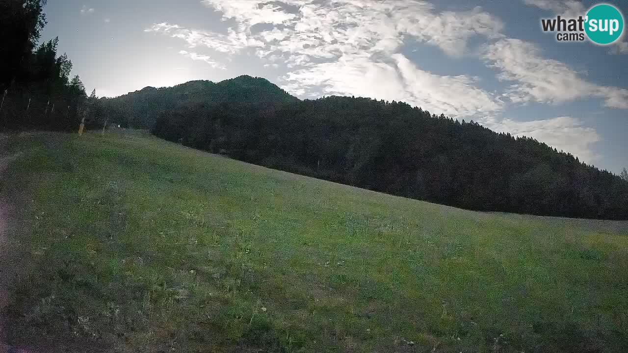 Esquí Kranjska Gora | Brsnina