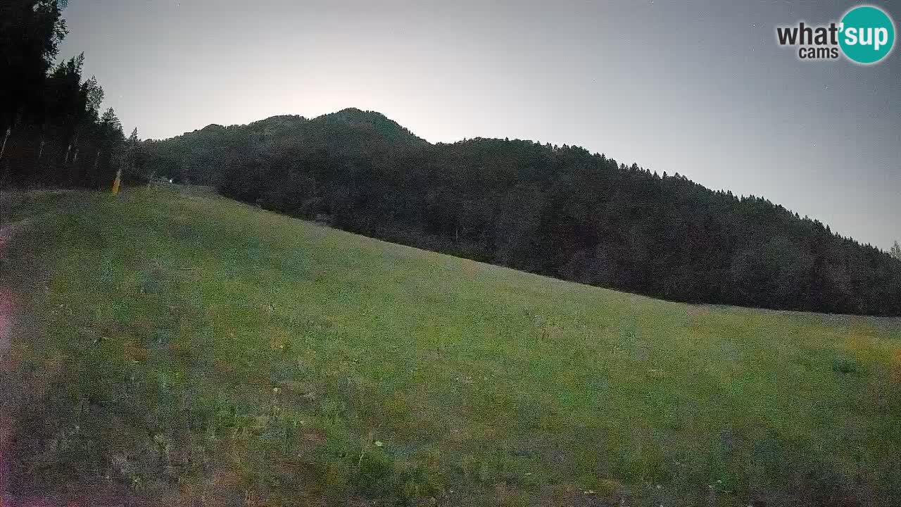 Kranjska Gora SKIJANJE | Brsnina