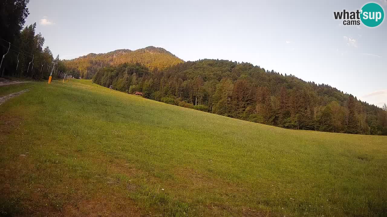 Comprensorio sciistico Kranjska Gora | Brsnina