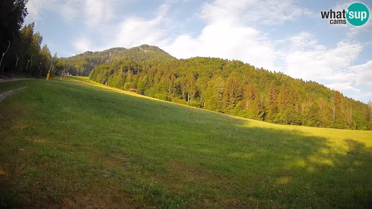 Ski Kranjska Gora | Brsnina
