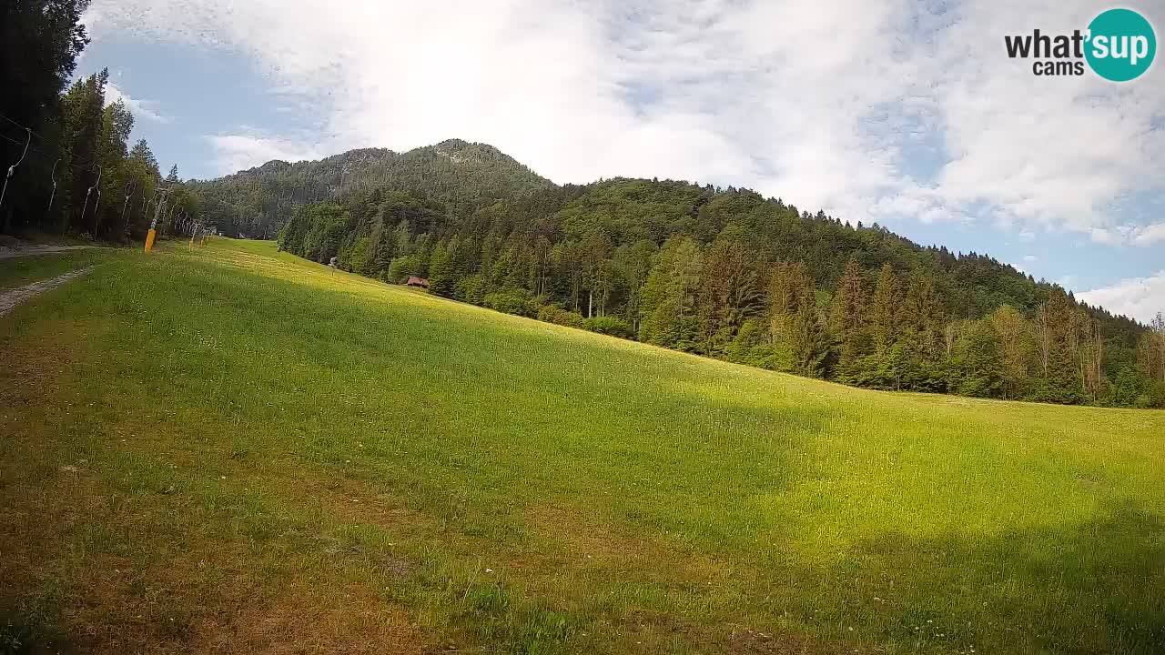 Kranjska Gora Station de ski | Brsnina